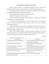 Štabinės ir matricinės valdymo struktūros 10 puslapis