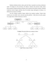 Štabinės ir matricinės valdymo struktūros 11 puslapis