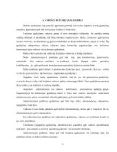 Štabinės ir matricinės valdymo struktūros 12 puslapis