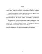 Štabinės ir matricinės valdymo struktūros 13 puslapis