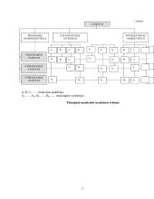 Štabinės ir matricinės valdymo struktūros 15 puslapis