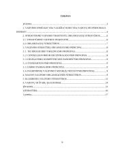 Štabinės ir matricinės valdymo struktūros 16 puslapis