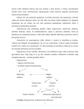 Štabinės ir matricinės valdymo struktūros 3 puslapis