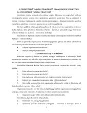 Štabinės ir matricinės valdymo struktūros 4 puslapis