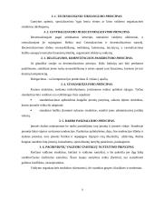 Štabinės ir matricinės valdymo struktūros 6 puslapis