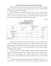 Štabinės ir matricinės valdymo struktūros 7 puslapis