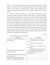 Štabinės ir matricinės valdymo struktūros 8 puslapis