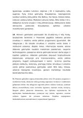 Tarptautinė Lietuvos prekyba 14 puslapis