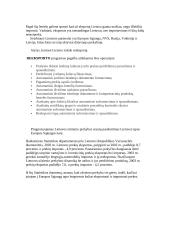 Tarptautinė Lietuvos prekyba 17 puslapis