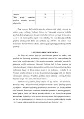 Tarptautinė Lietuvos prekyba 7 puslapis