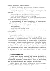 Tarptautinė verslo logistika 16 puslapis