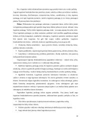 Tarptautinė verslo logistika 17 puslapis