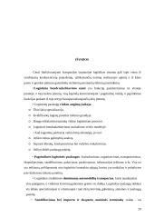 Tarptautinė verslo logistika 19 puslapis