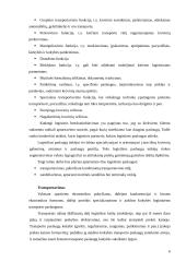 Tarptautinė verslo logistika 5 puslapis