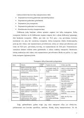 Tarptautinė verslo logistika 6 puslapis