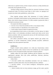 Tarptautinė verslo logistika 7 puslapis