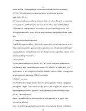 Tarptautinė prekyba. Ar Kinija – tikrai Europos ir Amerikos ekonominis baubas? 11 puslapis