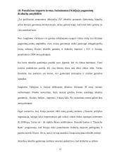 Tarptautinė prekyba. Ar Kinija – tikrai Europos ir Amerikos ekonominis baubas? 13 puslapis