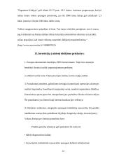 Tarptautinė prekyba. Ar Kinija – tikrai Europos ir Amerikos ekonominis baubas? 14 puslapis