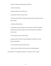 Tarptautinė prekyba. Ar Kinija – tikrai Europos ir Amerikos ekonominis baubas? 15 puslapis