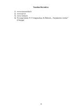 Tarptautinė prekyba. Ar Kinija – tikrai Europos ir Amerikos ekonominis baubas? 17 puslapis