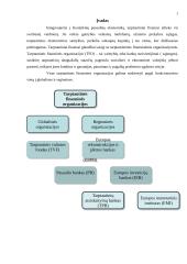 Tarptautinės finansinės kreditinės organizacijos