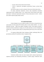 Tarptautinės finansinės kreditinės organizacijos 10 puslapis