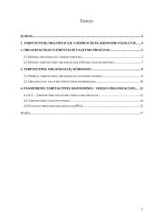 Tarptautinių organizacijų veiklos analizė 2 puslapis