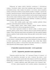 Tarptautinių organizacijų veiklos analizė 12 puslapis