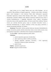 Tarptautinių organizacijų veiklos analizė 3 puslapis