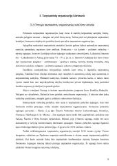 Tarptautinių organizacijų veiklos analizė 9 puslapis