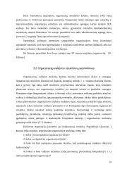 Tarptautinių organizacijų veiklos analizė 10 puslapis