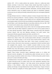 Tarptautinis saugumas ir taikaus sugyvenimo politika pokario Europoje 12 puslapis