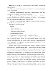 Teorinis ir praktinis valdymo modelis: vidaus apdailos darbai UAB "Jarista" 12 puslapis