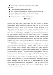 Teorinis ir praktinis valdymo modelis: vidaus apdailos darbai UAB "Jarista" 5 puslapis