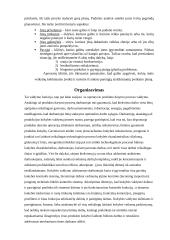 Teorinis ir praktinis valdymo modelis: vidaus apdailos darbai UAB "Jarista" 7 puslapis