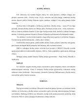 Teritorijos rekreacijos ir turizmo analizė: Klaipėdos apskritis 11 puslapis
