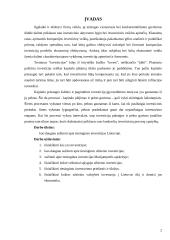 Tiesioginės investicijos Lietuvoje 2 puslapis