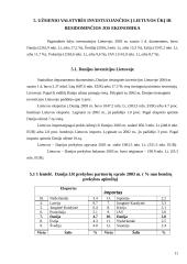 Tiesioginės investicijos Lietuvoje 11 puslapis