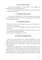 Tiesioginės investicijos Lietuvoje 12 puslapis