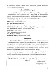 Tiesioginės investicijos Lietuvoje 13 puslapis