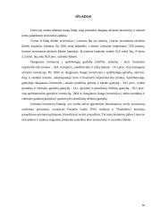 Tiesioginės investicijos Lietuvoje 16 puslapis