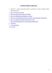 Tiesioginės investicijos Lietuvoje 17 puslapis