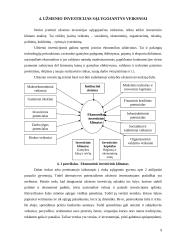Tiesioginės investicijos Lietuvoje 9 puslapis