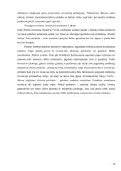 Tiesioginės investicijos Lietuvoje 10 puslapis