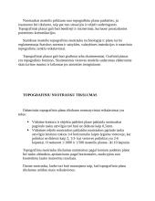 Topografinių planų rengimo technologija 5 puslapis