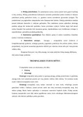 Trumpalaikio įmonės turto analizė ir valdymas 4 puslapis