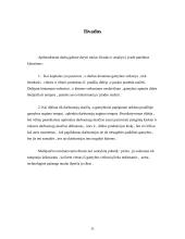 Trumpojo laikotarpio gamybos produktas 11 puslapis