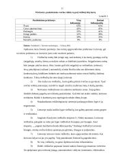 Turistų apgyvendinimo problemos Lietuvoje 11 puslapis