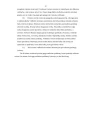 Turistų apgyvendinimo problemos Lietuvoje 12 puslapis